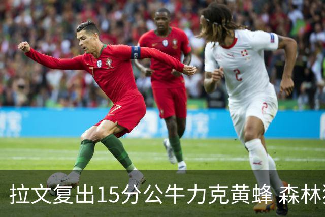 拉文复出15分公牛力克黄蜂 森林狼大胜火箭